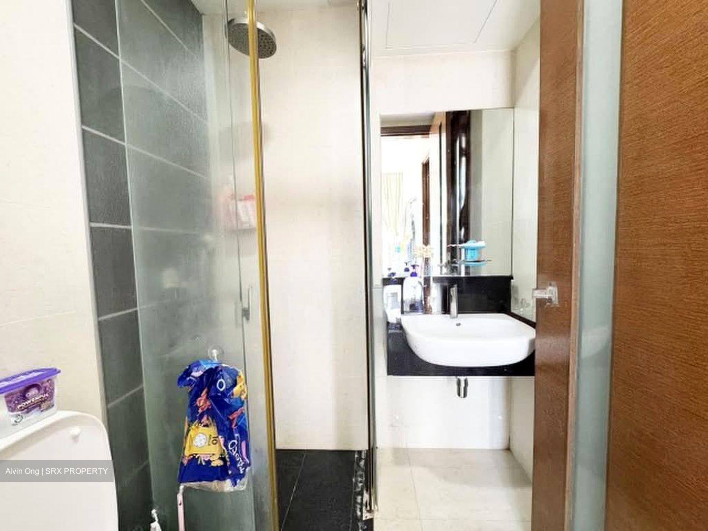 Centra Studios (D14), Apartment #581341441